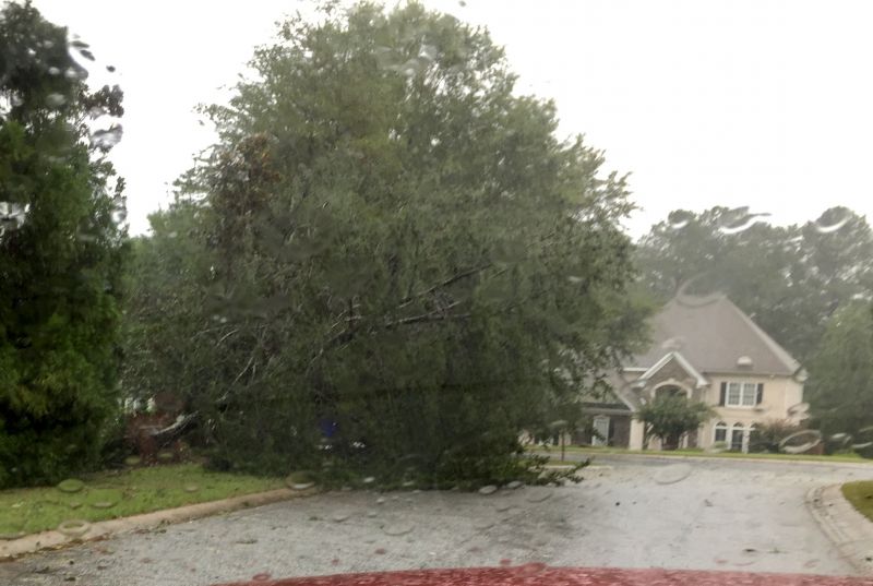 Downed tree on Glisten View in Peachtree City. Photo/David Anders.