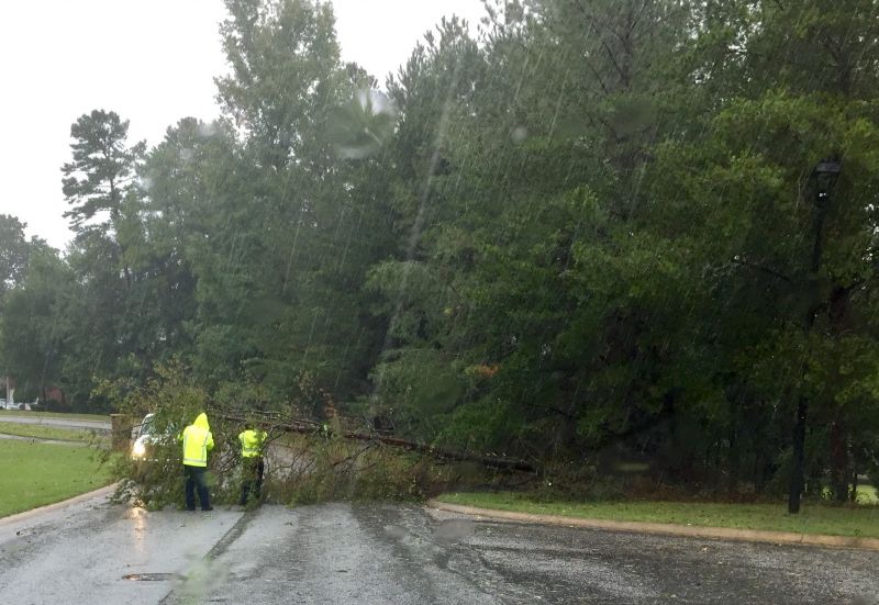 Tree down across road in Peachtree City's Southern Shore neighborhood. Photo/David Anders.