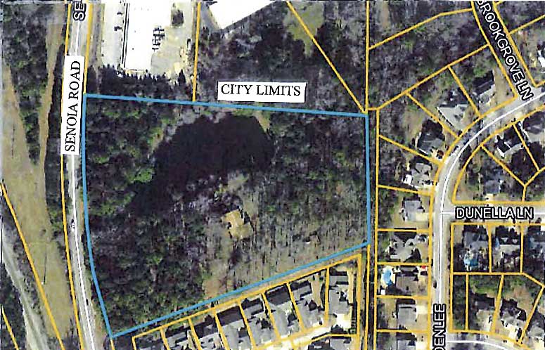 Outlined area is proposed Senoia Road rezoning. Graphic/Peachtree City.