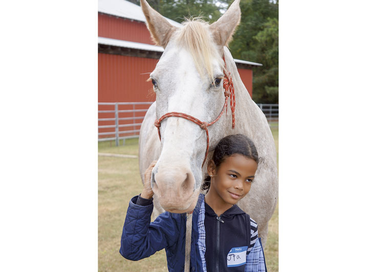 Working ranch transforms into place of healing