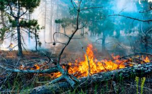 Forestry unit stays busy with 33 wildfires
