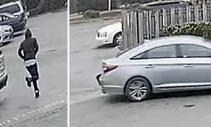 Armed robber strikes in Tyrone with shots fired,...