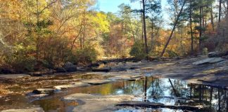 Line Creek Nature Area in Peachtree City. Photo/Southern Conservation Trust website.