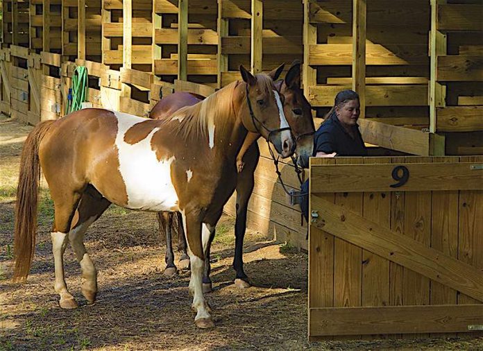 Public stables at A.H. Stephens State Park near Augusta. Photo/Ga. State Parks website.