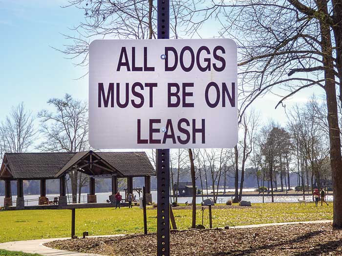 Dog problems bring back leash rule for Drake Field