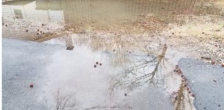 Stock photo of flooded yard. Photo/Shutterstock.