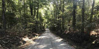 Road to a new school? Stagecoach Road off Robinson Road in Peachtree City. Photo/Ben Nelms.