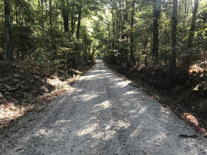 Road to a new school? Stagecoach Road off Robinson Road in Peachtree City. Photo/Ben Nelms.