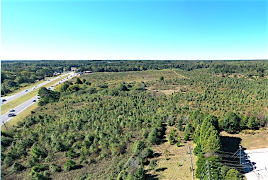 <b>A second view looking southwest across the Lester property. Photo/FCDA.</b>