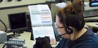 Fayette County 911 dispatcher Ashleigh Sawyer was one of several dispatchers welcoming a pit bull mix puppy to the center on Feb. 19 as part of the new "Headset Heelers" program, designed to reduce dispatchers' stress while providing socialization for the puppy. Photo/Ben Nelms.