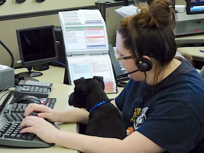 Fayette County 911 dispatcher Ashleigh Sawyer was one of several dispatchers welcoming a pit bull mix puppy to the center on Feb. 19 as part of the new 