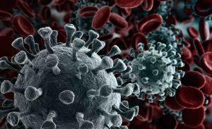 Coronavirus 2019-nCov novel coronavirus concept resposible for asian flu outbreak and coronaviruses influenza as dangerous flu strain cases as a pandemic. Microscope virus close up. 3d rendering. Photo/Shutterstock.