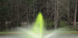 The fountain in the lake at Shamrock Park turned green for St. Patrick's Day in 2019. The town is hosting its annual St. Patrick's Day Celebration at Shamrock Park on Senoia Road on Saturday, March 14. Photo/Submitted.