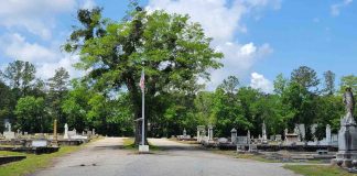 Flag at Senoia City Cemetery. Photo/Submitted.