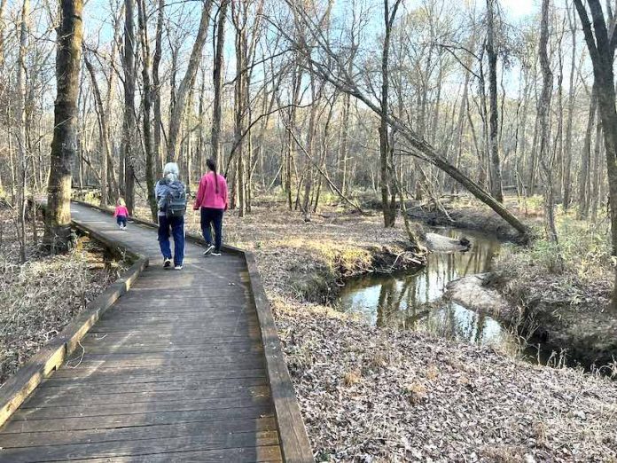 Boardwalk through Flat Creek Nature Area.