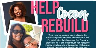 GoFundMe page for Cocoa Brown.