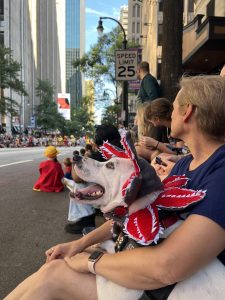 Mary Catherine sitting along Peachtree Street at the Dragon Con parade with our dog Loki. He's wearing his Demogorgon Dog costume from the TV show Stranger Things. Photo/Joe Domaleski