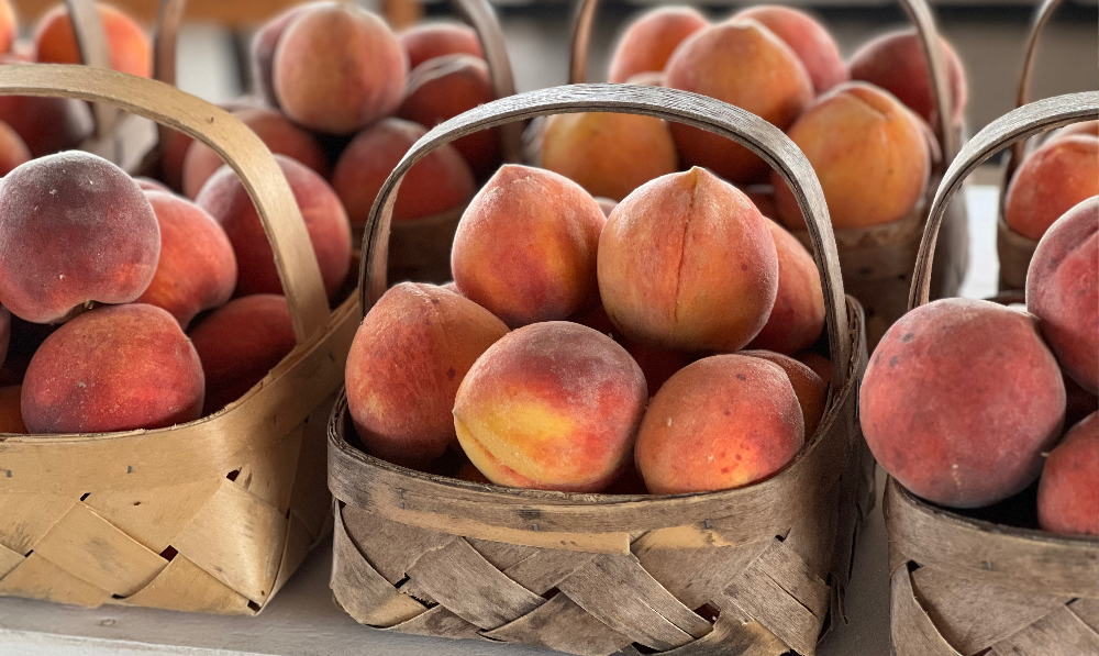 Still Time for Peaches – Short Day Trip to Gregg...