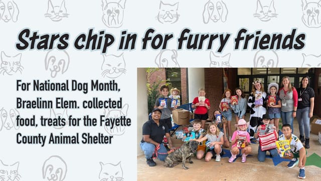Braelinn collects food for furry friends