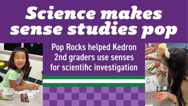 Science makes sense studies pop at Kedron