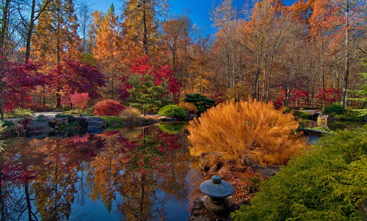 Take a Fall Day Trip to Gibbs Gardens