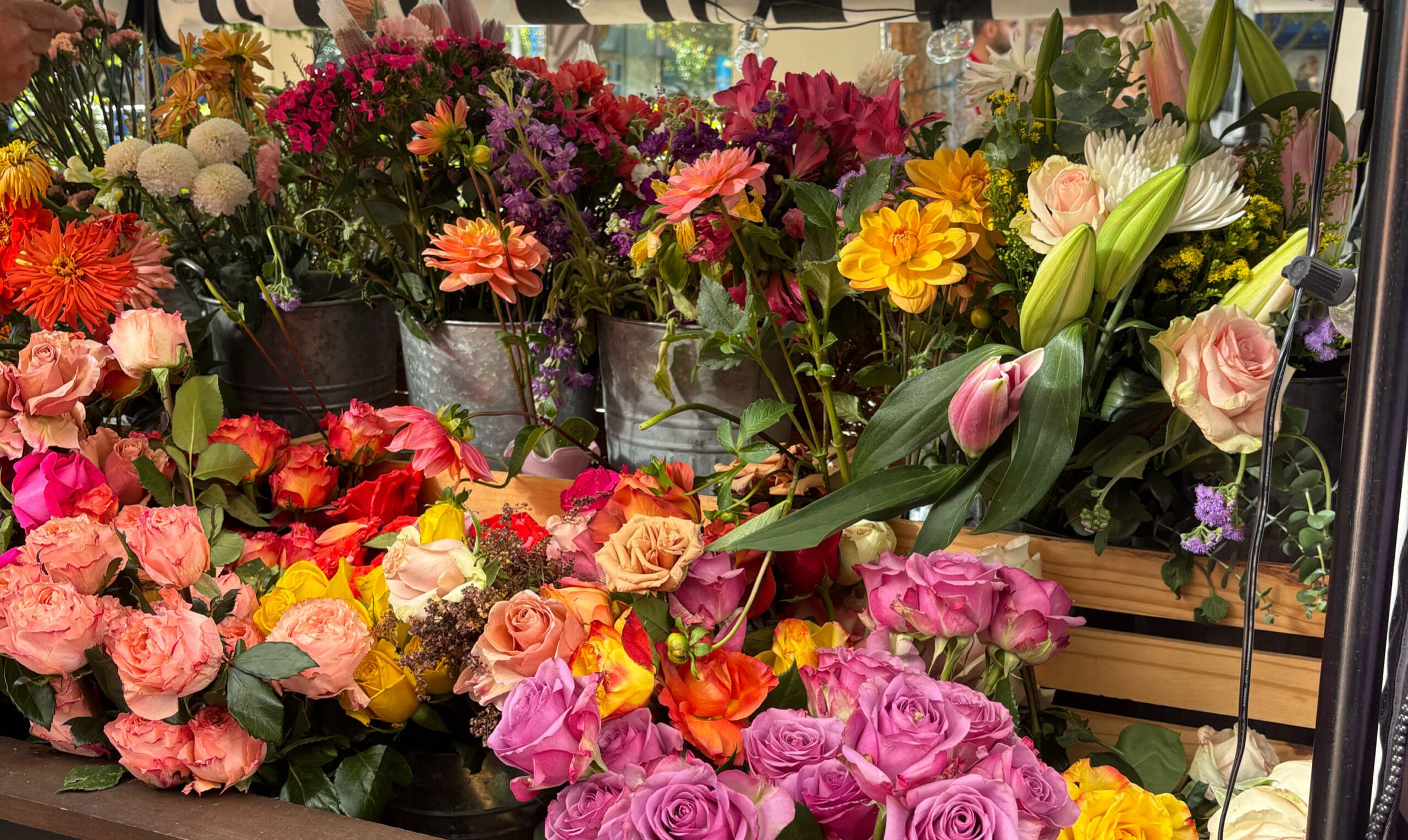 A Day with a Lesbian Couple in Peachtree City