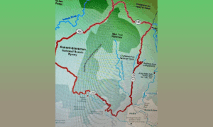 Garden Views: Best North Georgia Scenic Drives