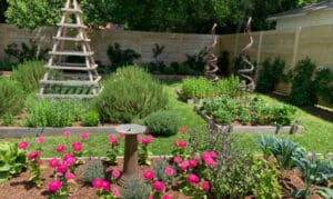 You might be a real gardener if . . .