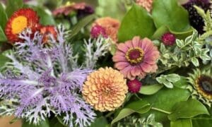 Garden Views: Designer Tips on Creating a Memora...