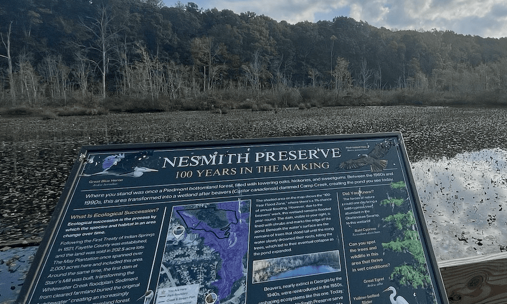 Rotary Club of Peachtree City Enhances NeSmith P...