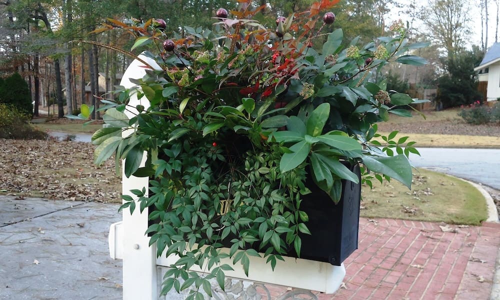 Deck the Halls with Holiday Decorations from the Garden