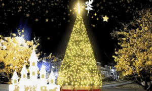 Know Before you Go: Fayetteville Christmas Parad...