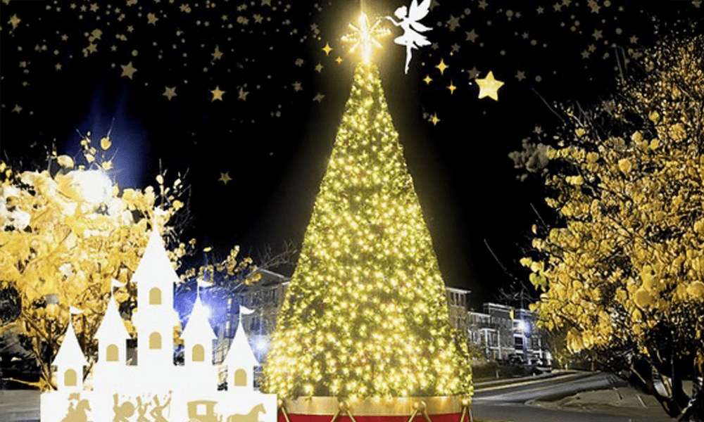 Know Before you Go: Fayetteville Christmas Parad...