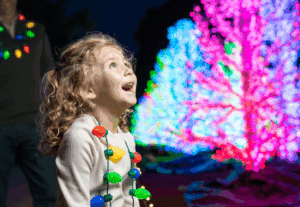 Glittering Gardens Glow for the Holidays