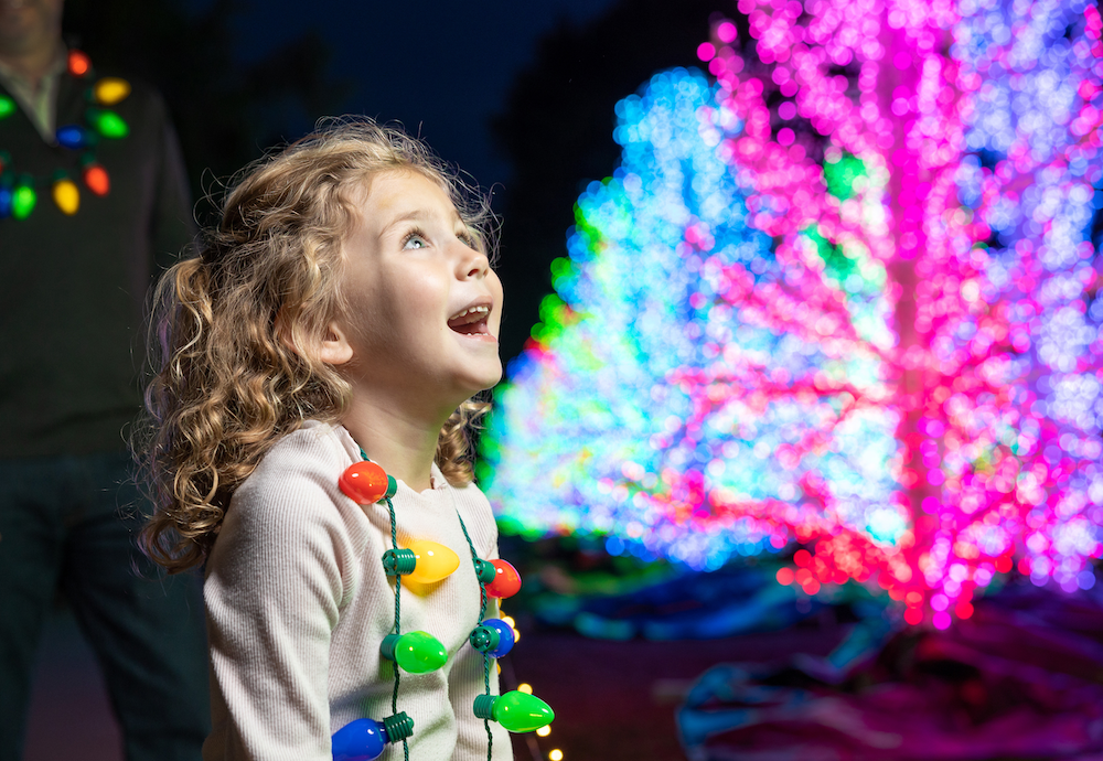 Glittering Gardens Glow for the Holidays