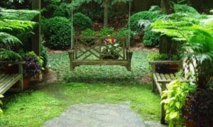 The Sunday Garden – Hot Garden Trend for 2026
