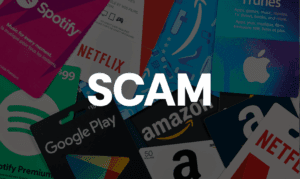 SPEAR Act Caselog Shows Holiday Scams Remain Pre...