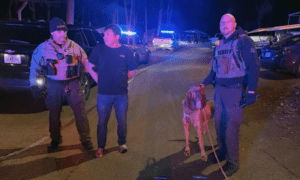 One Dead, Suspect Arrested After Fayette County ...