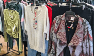 Clothes Less Traveled’s Newnan Thrift Shop Intro...