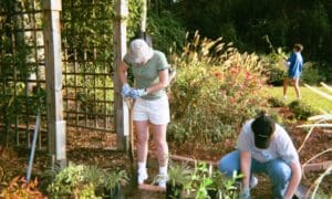 Get a Great Exercise Workout in the Garden