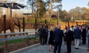 BLOOM HOSTS ANNUAL BLOOM BALL GALA AT ZOO ATLANTA