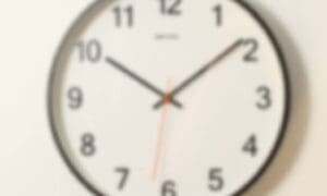 Shelter Announces Expanded Weekend Hours Beginni...