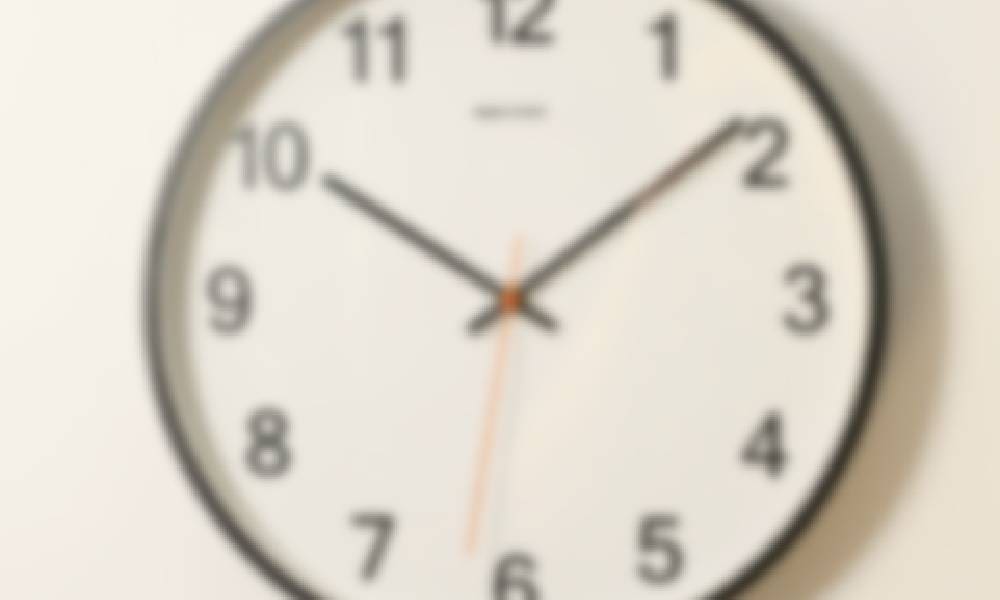 Shelter Announces Expanded Weekend Hours Beginning Saturday, February 21