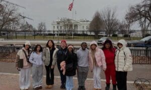 Young Mr. Boxhill Goes to Washington