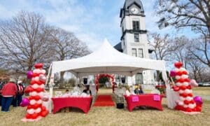 Love Was in the Air at Historic Fayette Courthou...