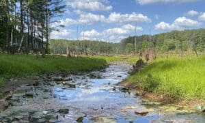 Southern Conservation Trust, Georgia Power Launc...