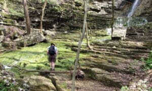 See the Wonders of Spring Wildflowers