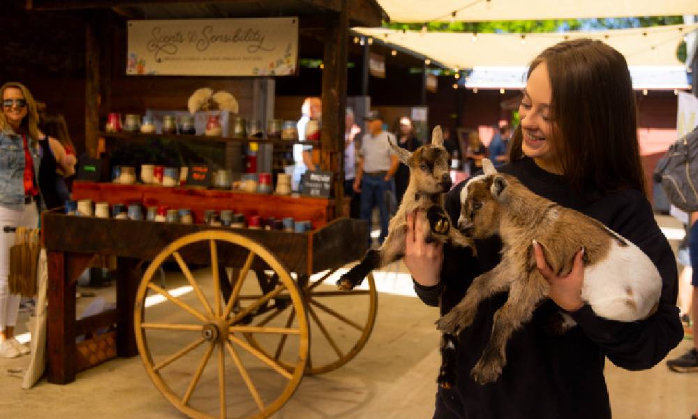 Senoia Farmers’ Market Celebrates Grand Reopening for the 2026 Season on March 21