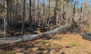 ACLU Challenges Coweta Schools Over East Coweta ...