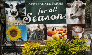 Take Your Mother on a Garden Field Trip to Celeb...